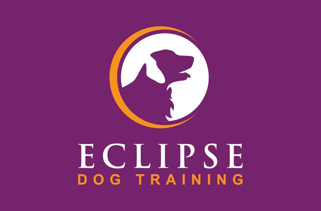 Dog Behavioural Training Sunshine Coast Eclipse Dog Training Home